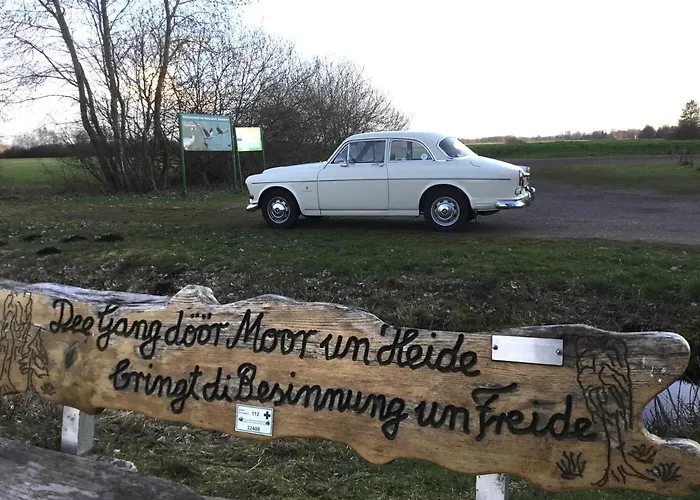 Kranich-Holzferienhaus 'Kleine Auszeit'